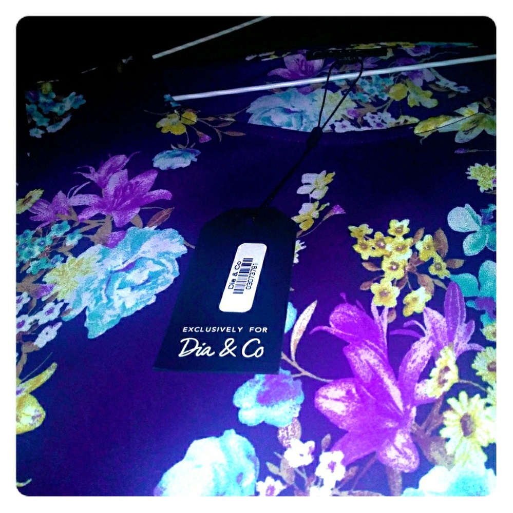 Cameo brand suuuuper chic,  navy blue with ruffled